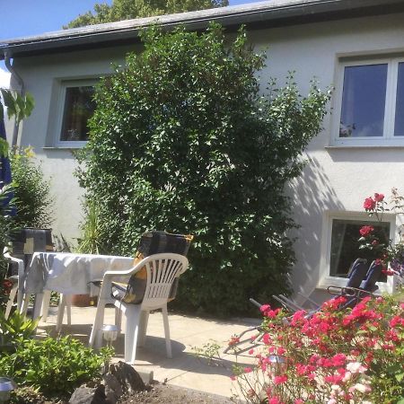 Ferienhaus Moock Horn-Bad Meinberg Exterior foto